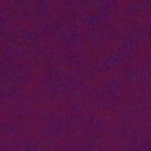 Meet your Posher, Peyton